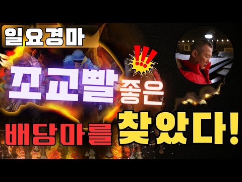 1월 11일(日)-강백호-조교빨 좋아진 배당馬 찾았다????배당은 터질수 밖에..