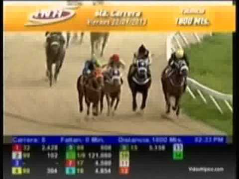 Resumen Viernes, 20 de Septiembre de 2013 - Valencia