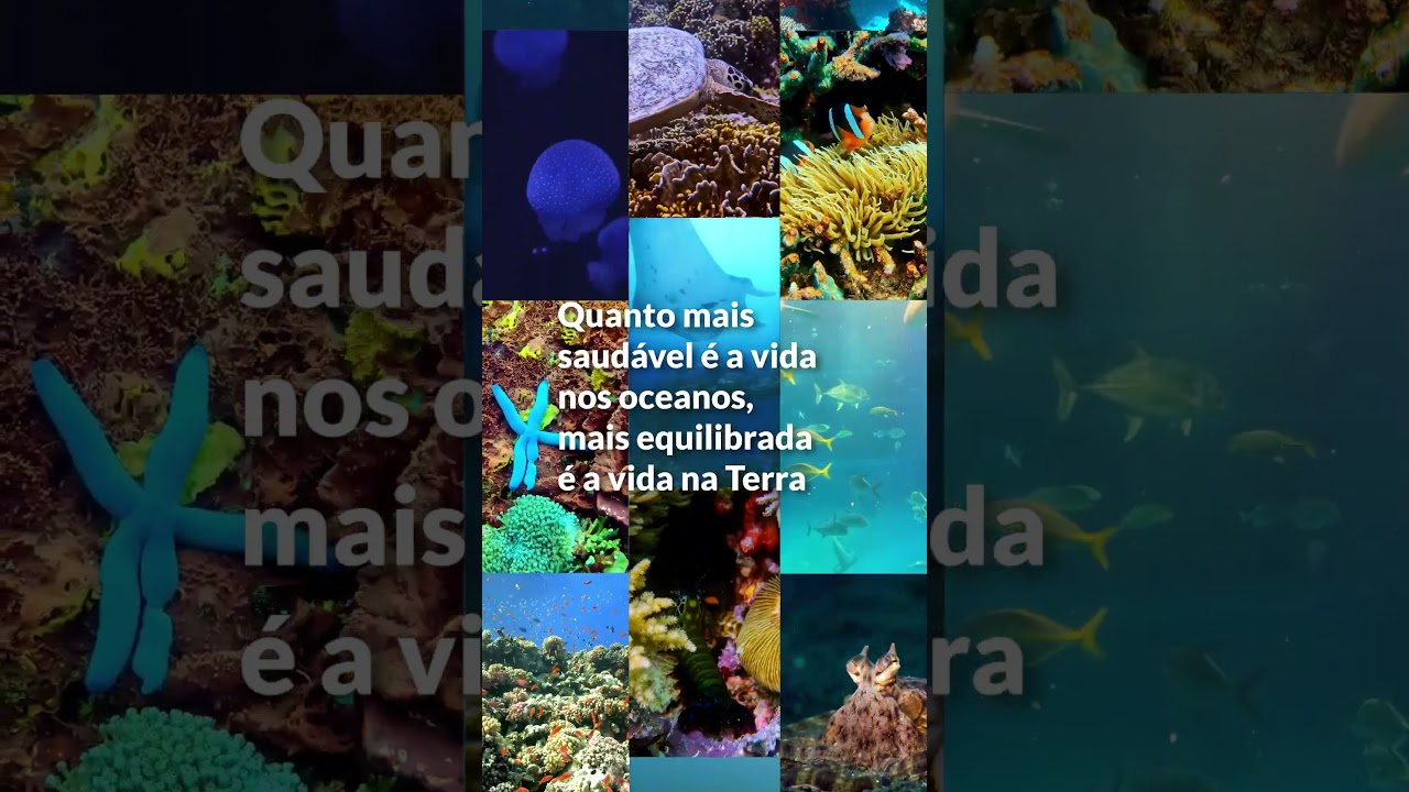 Dia Internacional da Biodiversidade
