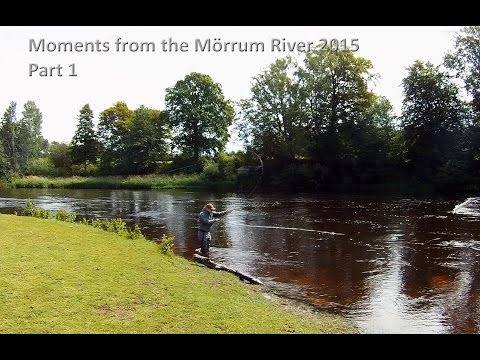 Moments from the Mörrum River 2015 part 1. Fly fishing for big salmon and sea trout