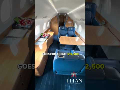 Take a peak at this $15 million dollar private jet 🛩 #privatejet #jettour