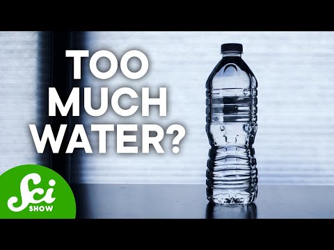 水の飲みすぎで死ねる？血液？酸素？ (Can I Die From Too Much Water? Blood? Oxygen?)
