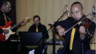 Leonard Cohen - Hallelujah - a LIVE cover by wedding music band Shir Soul featuring Earl Maneein