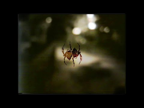 Cult of The Damned - Salt Water