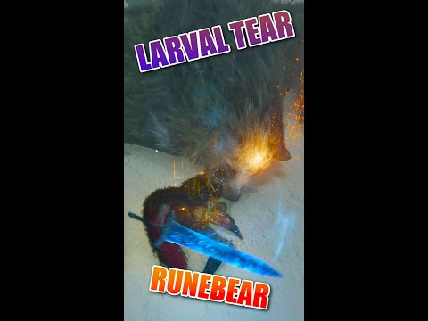 Fighting With Runebear is Harder Than Some Bosses. Consecrated Snowfield | Elden Ring