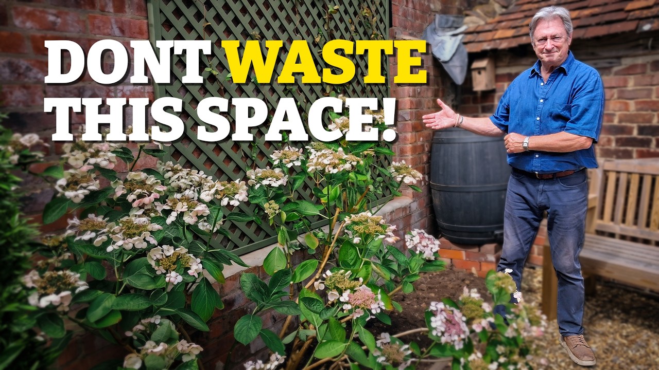 How I Turned A Dull Corner Into a Beautiful Garden Retreat! - YouTube