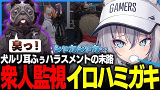 犬ルリに耳ふぅ連発の結果公衆の面前で歯磨きをさせられるイナイロハ【稲荷いろは/Mondo/ #ストグラ /のりプロ/ #ストグラ切り抜き 】