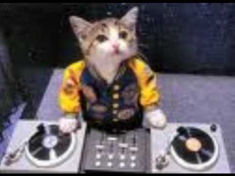 cheeky trax 34,....destinys children....