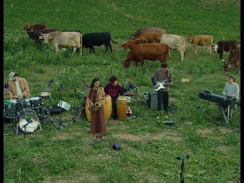 Okvsho +experience – Where moments wait & Place of Two (Live Session)
