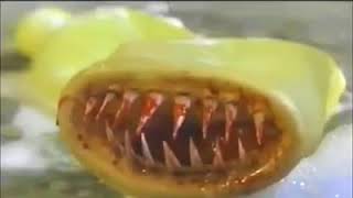 Paranormal Life   Scenes From The Film The Killer Condom