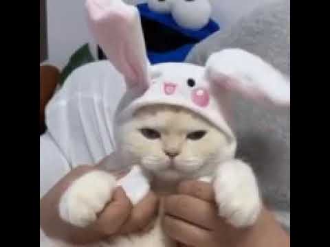 Oyala   me   havava    balanna   habay   mage   nam    nadeesha   neme   mama   rithu