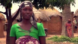 Voices from Shikira
