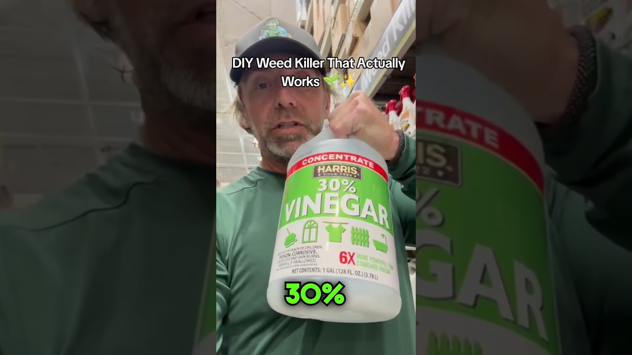 DIY Weed Killer That Actually Works 🌱✨