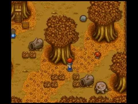 Harvest Moon AMV: The Sweet Life