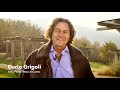 INSIEME Parco Al Corno