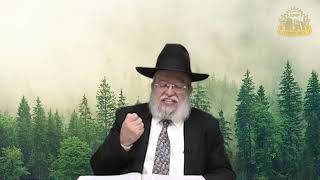 דף היומי בחצי שעה – מסכת זבחים דף ע”ח