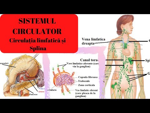 MEDICINE ADMISSION: CIRCULATORY SYSTEM 4: Lymphatic circulation and spleen