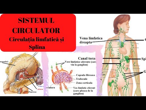 Unguent pentru restaurarea ligamentelor și articulațiilor