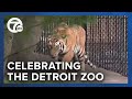 Detroit Zoo Celebrating 95th Anniversary With Special Events Discounts More