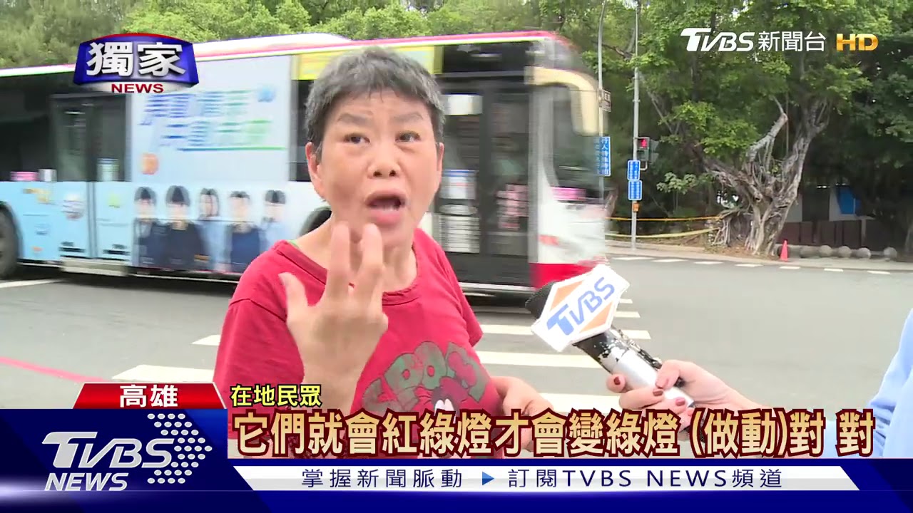 行人專用號誌參考用? 領隊肉身擋車過馬路