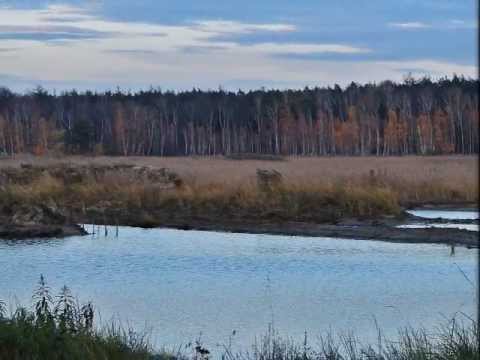 JESIEŃ  ─═ ◕◕◕═─  Dzień w kolorze śliwkowym ─═ ◕◕◕═─Autumn