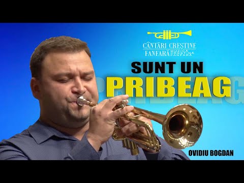 Ovidiu Bogdan - Sunt un pribeag | Solo Trompetă