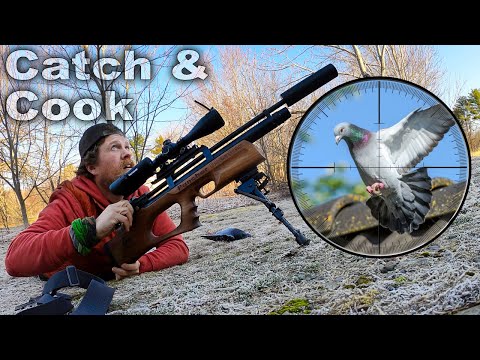 Pigeon Catch and Cook - Day 18 of 30 Day Survival Challenge Maine Lockdown