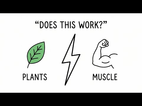 200g of Plant Protein a Day — Muscle Gain or Disaster?