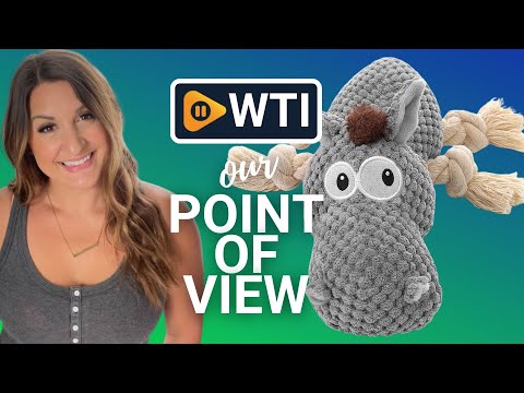 Sedioso Dog Toy - WTI product video review