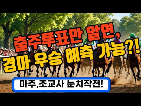 "출주투표만 알면 경마 우승 예측 가능!"