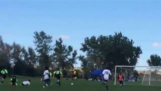 Soccer Goal