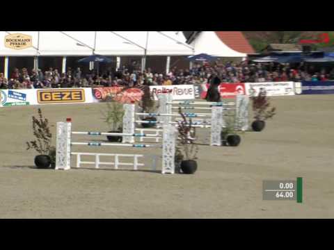 "Fire and Ice" - 7 j. Hengst v. For Contest x Coronino - Hagen 2017