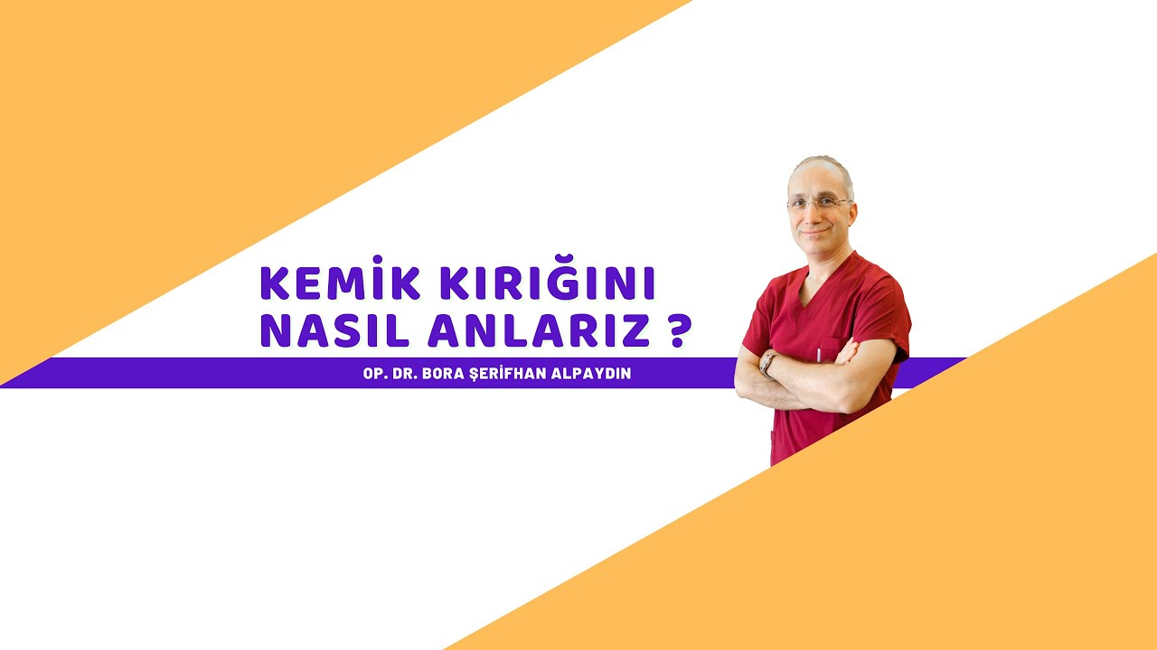 Bora Şerifhan Alpaydın-8