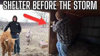 Winter Storm Farm Prep | Bedding Coops, Building Wind Breaks & Protecting New Lambs