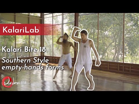 Kalari Bite 18 - The empty-hands forms of Southern Style (Part 1)