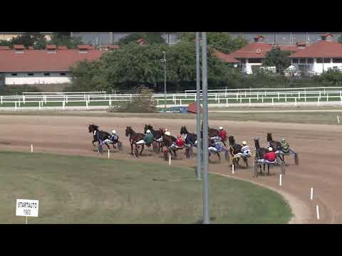 2019.08.31. 01. futam - COPIAD DÍJ