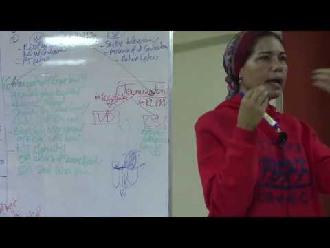 11) Antepartum Hemorrhage 12/12/2019