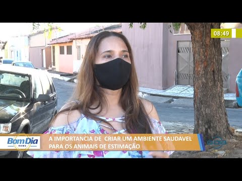 Importância de criar um ambiente saudável para os animais de estimação 05 07 2021