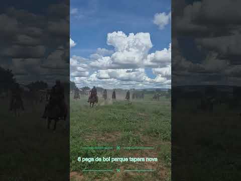 6 pega de boi parque tapera nova inaja pe Organização cicero de delidia e caue e família 