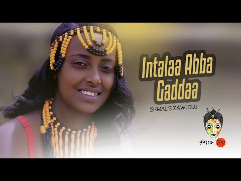 Ethiopian Music : Shimalis Zawuduu (Intalaa abba Gaddaa) - New Ethiopian Music 2019(Official Video)