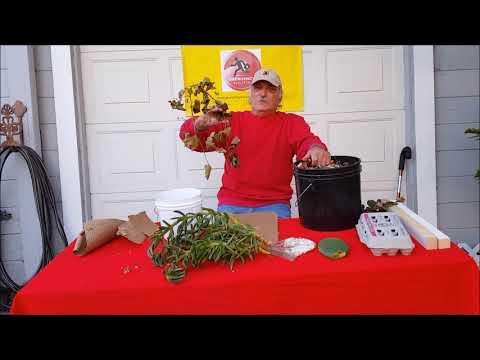 Worm Farm bins, a transfer bin and a new worm farm being constructed.
