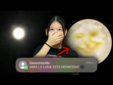 DON'T LOOK AT THE MOON 🌑 IF YOU RECEIVE THIS MESSAGE, NEVER OPEN IT⚠️ IT'S *VERY DANGEROUS*