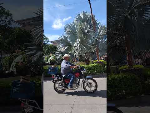 #guatemala #aguablancajutiapa #viralpost #shortvideo #paratiiiiiiiiiiiiiiiiiiiiiiiiiiiiiii