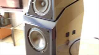 HDM Son et Passion - Enceinte Wilson Audio Sasha couleur sebringblue