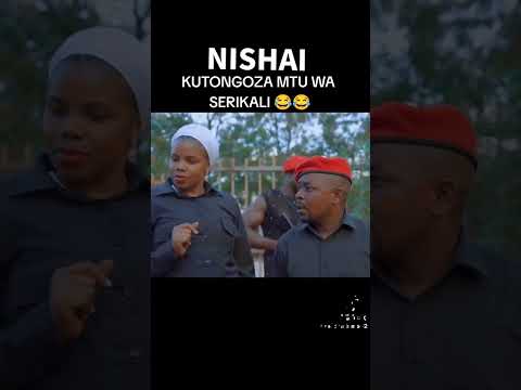 nishai Leo kavamia kambi