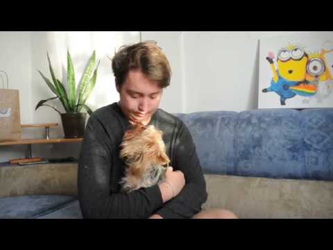 VLOG: КТО УКУСИЛ ЗА НОС?! 08.12.18