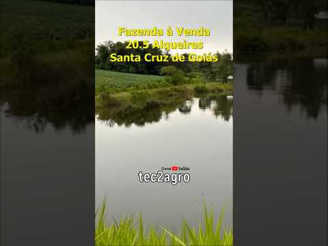 🌱 20.5 ALQ EM SANTA CRUZ DE GOIÁS #fazenda #tec2agro