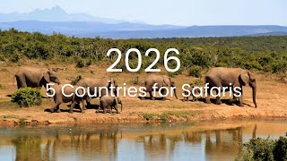 5 Best Countries for Safaris in 2026 | Travel Guide