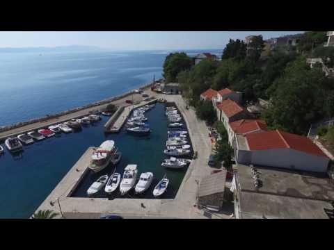 ŽIVOGOŠĆE - PORAT