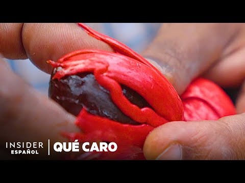 Cómo agricultores de una aldea de la India crearon la nuez moscada y la macis más caras | Qué caro